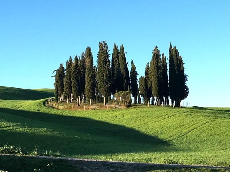 Camera La Margherita San Quirico d'Orcia Eksteriør billede